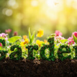 Apprendre à jardiner : cours pratiques et durables sans aucun texte