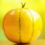 Melon jaune : guide complet pour choisir et cultiver sans aucun texte