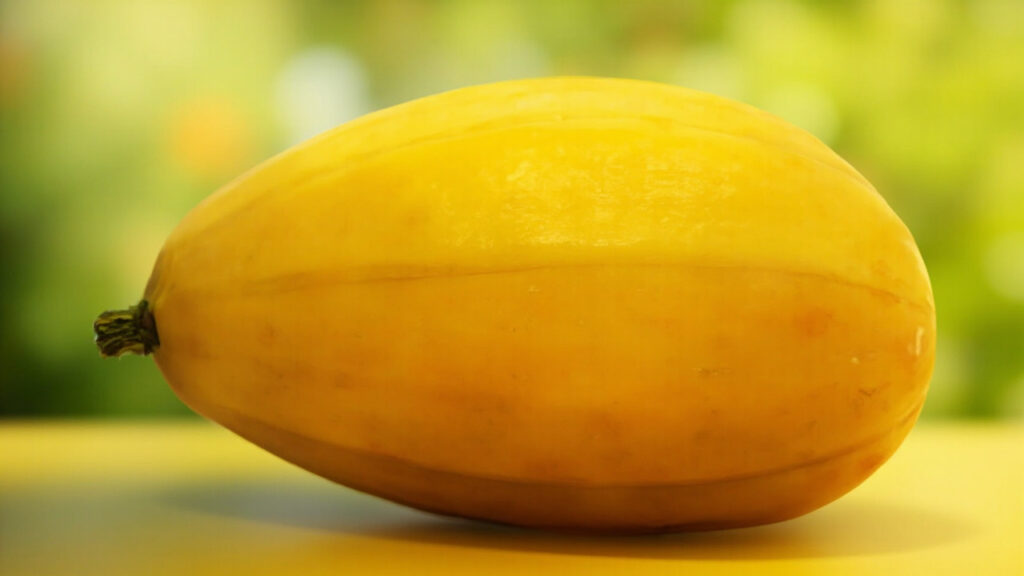 Melon jaune : guide complet pour choisir et cultiver sans aucun texte